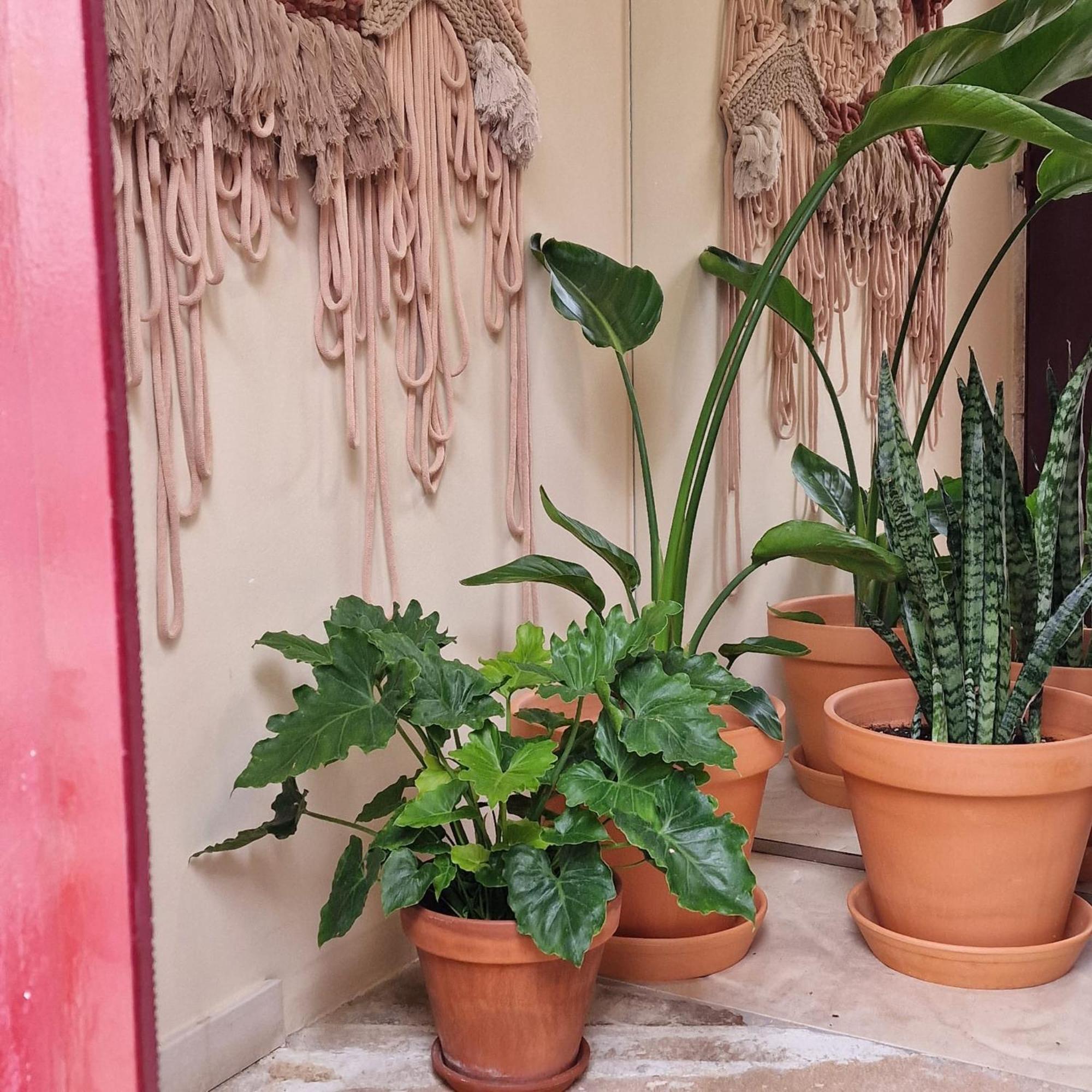 Casas De Constanciaヴィラ エクステリア 写真